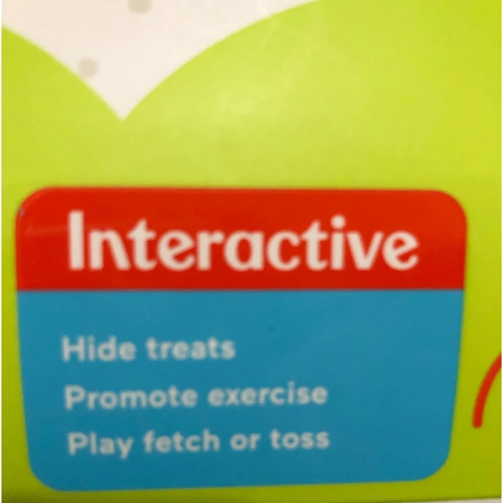 Fisher Price Dog 🐶 Toy